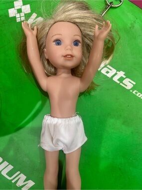 American Girl WellieWishers 14.5 inch doll